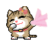 cat 19